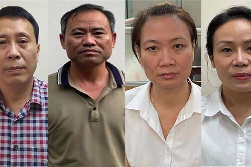 Khởi tố thêm 4 bị can trong vụ nâng khống giá cây xanh ở Hà Nội