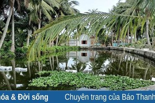 Biến ao hoang thành những ao làng thơ mộng