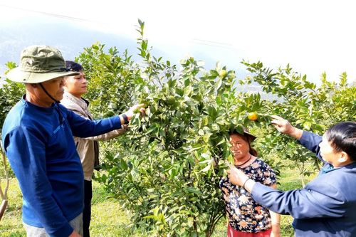 Bài cuối: Hành trình 'về đích' nông thôn mới