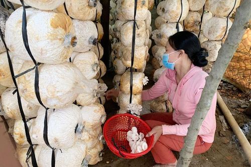 Tạo sức bật trong vùng đồng bào dân tộc thiểu số