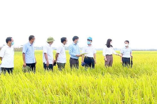 Chuyển biến từ 'tam nông'