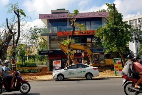 Kinh tế Xây dựng - Giao thông Di dời hàng cây xanh trên đường Hà Nội để mở đường
