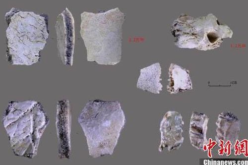 Phát hiện hóa thạch sọ người 32 nghìn năm tuổi tại Hà Nam, Trung Quốc