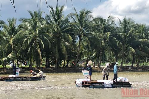 Bảo vệ môi trường và ứng phó với biến đổi khí hậu vùng Đồng bằng sông Cửu Long