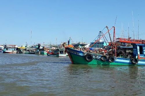 Đồng bằng sông Cửu Long: Phát triển bền vững nghề cá