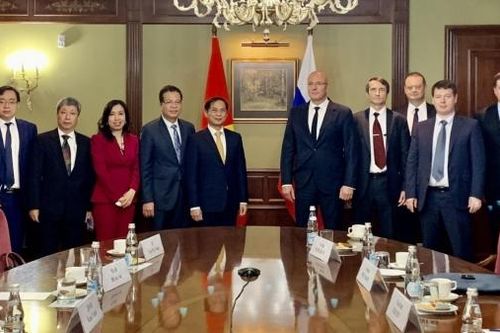 Bộ trưởng Ngoại giao Bùi Thanh Sơn hội kiến với Phó Thủ tướng Nga Dmitry Chernyshenko