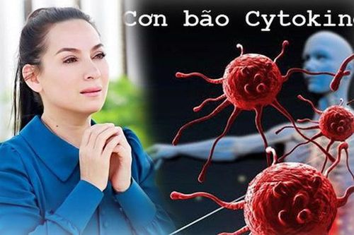 Cơn bão Cytokine khiến ca sĩ Phi Nhung qua đời nguy hiểm ra sao?