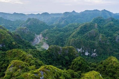 Cát Bà lọt top Vườn Quốc gia ấn tượng nên tới sau đại dịch