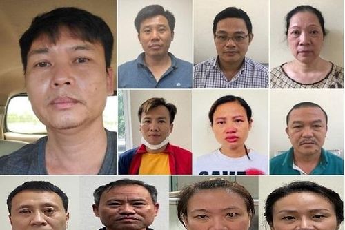 Dự án cây xanh thiệt hại 30 tỷ đồng, 2 tháng 11 người bị khởi tố, bắt tạm giam