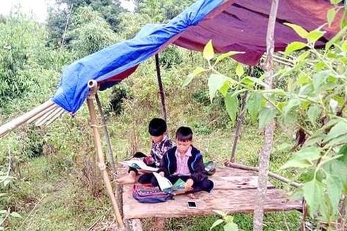 Lên núi dựng chòi, hứng sóng học bài