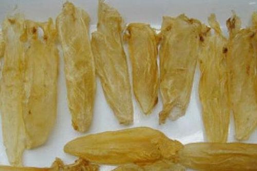 Bong bóng cá siêu đắt, giá lên tới gần tỷ đồng/kg hút người sành ăn