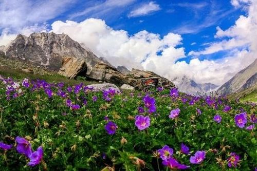 Lạc vào thế giới cổ tích của những điểm đến rực rỡ sắc màu