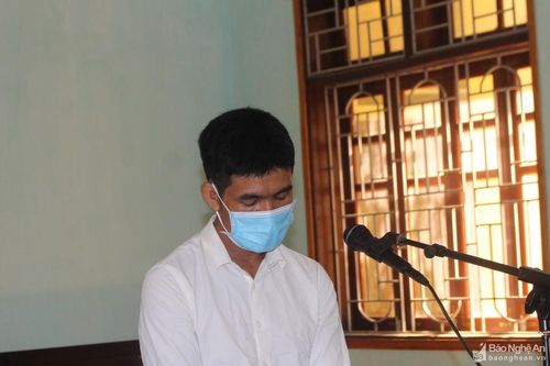 Xử vụ mua và hủy hoại đất rừng trái phép ở Con Cuông