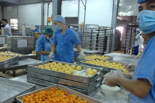 Bình quân mỗi tháng có 10.000 doanh nghiệp rút lui khỏi thị trường