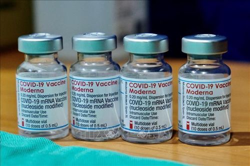 FDA Mỹ cân nhắc phê duyệt sử dụng 1/2 liều vaccine của Moderna cho mũi tăng cường