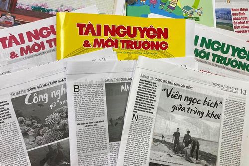 Kéo dài Cuộc thi viết 'Cùng giữ màu xanh của biển' để người yêu biển cả cống hiến nhiều hơn