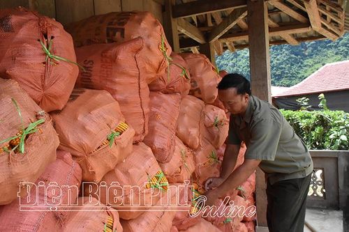 Người 'khai sáng' bản Mông