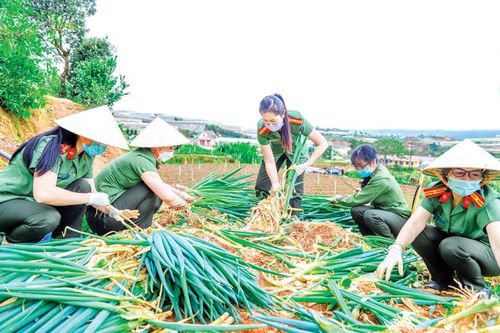 Nhân rộng những mô hình phù hợp để thu hút hội viên