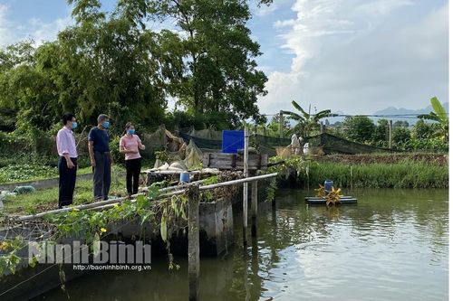 Hơn 16.600 hộ nghèo, hộ chính sách ở Yên Mô được tiếp cận vốn chính sách