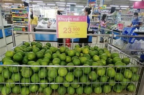 Đưa cam K4 vào tiêu thụ tại siêu thị Co.opmart Đông Hà