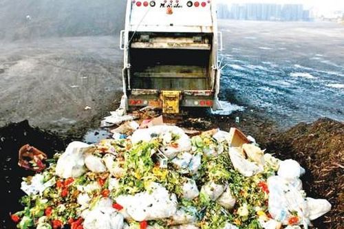 Thế giới FAO: Rác thải thực phẩm là một vấn đề toàn cầu