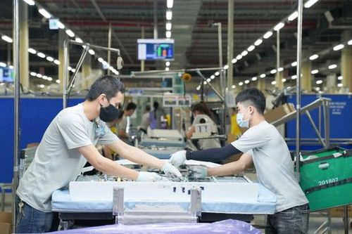 Thành phố Hồ Chí Minh: Hỗ trợ người lao động trở lại làm việc