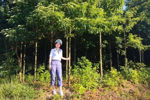 Bỏ việc lương cao, cô gái trẻ về quê kiếm tiền tỷ đều tay