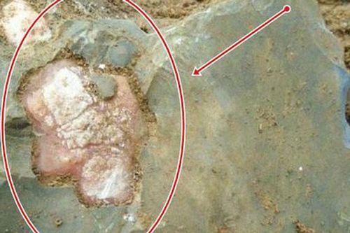 Cuốc nhầm tảng đá, chàng trai vỡ òa phát hiện 'báu vật' bên trong