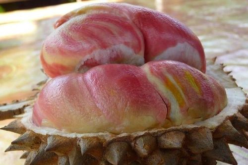 Sầu riêng ruột hồng như trái đào 'độc nhất vô nhị' nhưng vị mới lạ