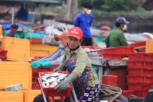 Nghệ An khẩn tìm người đến các địa điểm liên quan chùm ca nhiễm COVID-19 cộng đồng
