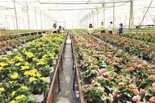 Australia và Việt Nam mở rộng cơ hội hợp tác phát triển nông nghiệp công nghệ cao