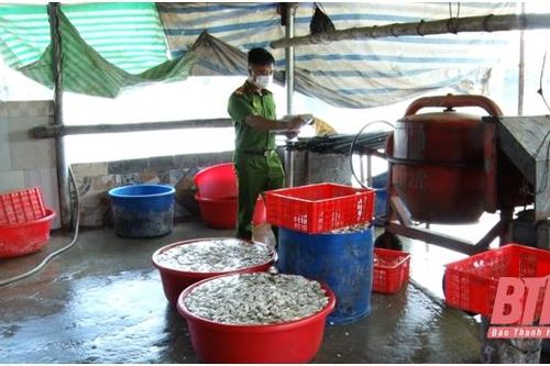 Tạm giữ hơn 3 tạ nội tạng động vật không rõ nguồn gốc