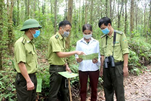 Bám địa bàn để bảo vệ rừng tận gốc