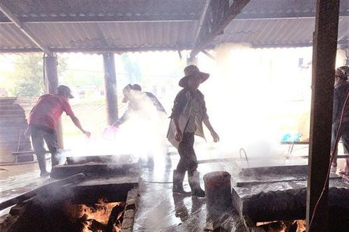 Giải quyết ô nhiễm môi trường từ các cơ sở hấp sấy cá