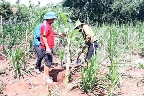 Chú trọng đào tạo nghề cho lao động nông nghiệp ở Hướng Hóa
