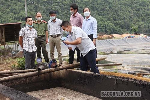 Kiểm tra thực hiện quy định về bảo vệ môi trường