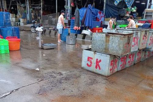 Nhiều quận ở TP.HCM cơ bản kiểm soát được dịch, sẵn sàng trở lại trạng thái bình thường mới