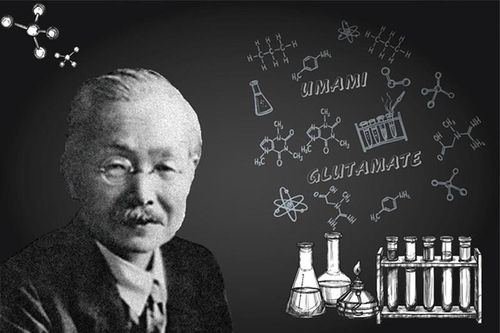 Bột ngọt và tin đồn hơn nửa thế kỉ