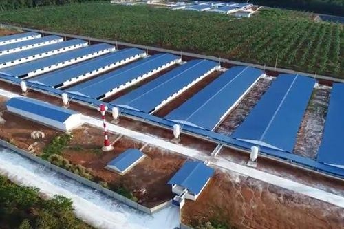 Chăn nuôi BaF Việt Nam: Muốn lên sàn niêm yết, đột ngột báo lãi gấp 10 lần cùng kỳ