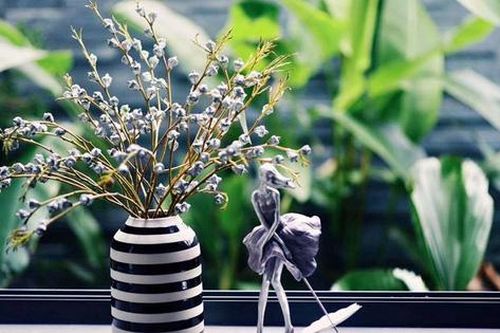 Loại hoa 'độc, lạ' khiến chị em Sài thành mê mẩn, lùng mua cắm