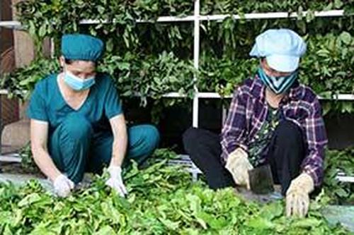 Chi Lăng: Quan tâm phát triển các hợp tác xã nông nghiệpTin khácVững vàng trên trận tuyến chống 'giặc lửa'Thông tin về đầu mối liên lạc, ứng trực 24/24 giờ hỗ trợ công dân nước ngoài của Sở Ngoại vụ tỉnh Lạng Sơn