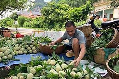Chi Lăng: Chú trọng phát triển tài sản trí tuệTin khácVững vàng trên trận tuyến chống 'giặc lửa'Thông tin về đầu mối liên lạc, ứng trực 24/24 giờ hỗ trợ công dân nước ngoài của Sở Ngoại vụ tỉnh Lạng Sơn