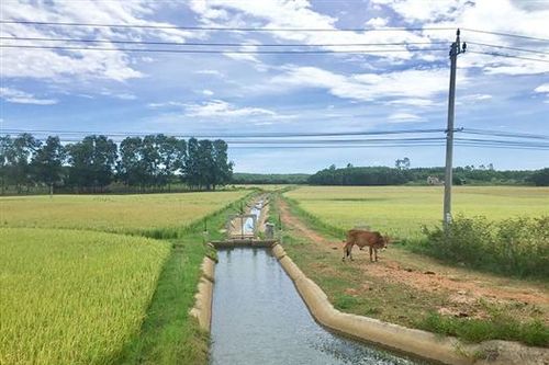 Đảm bảo an toàn công trình thủy lợi trong mùa mưa lũ