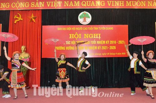 'Cây cao, bóng cả' tỏa mát muôn nhà