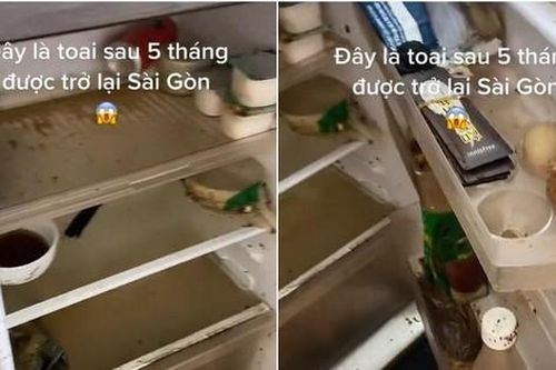 Trở lại thành phố sau 5 tháng, cô gái bất lực vì tủ lạnh bị ngắt điện, mém xỉu khi mở tủ