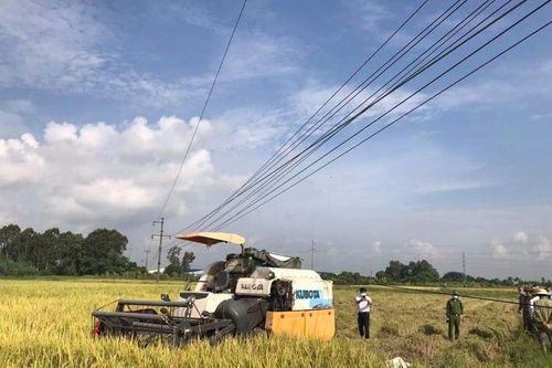 Hải Dương: Điều tra nguyên nhân 2 người đàn ông tử vong khi đang gặt lúa