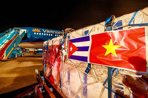 Những bàn tay ấm cách nửa vòng Trái đất