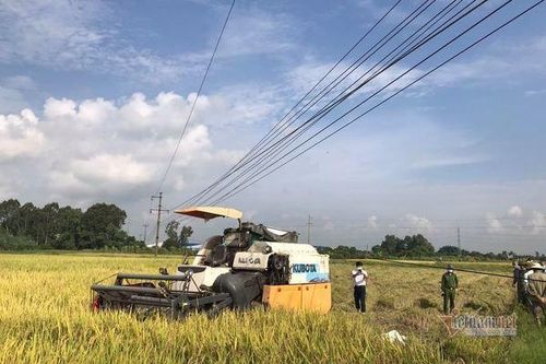 Hải Dương: Đi gặt ngoài ruộng lúa, 2 nông dân bị điện giật tử vong