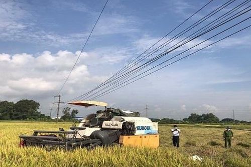 Điều tra hai người đàn ông chết bất thường trên cánh đồng