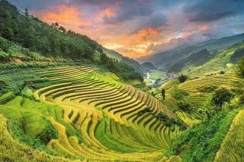 Việt Nam sở hữu 2 ruộng bậc thang đẹp nhất thế giới